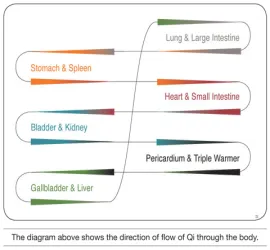 Qi flow through meridians