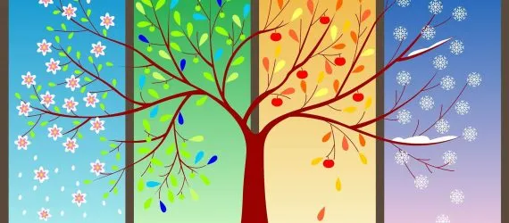 seasons