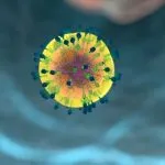 t helper cell