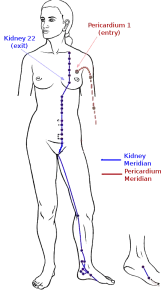 Kidney & Pericardium Meridians