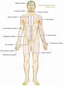 Front Acupuncture Meridians