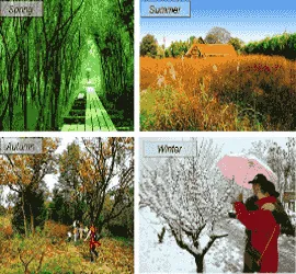 Seasonal-Changes
